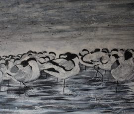 An-orchestra-of-Avocets