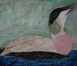 Eider209