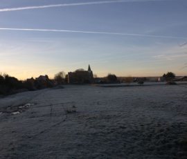 IMG_9753