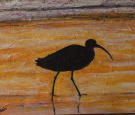 Curlew Curlew