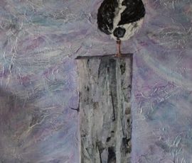 Oystercatcher Oystercatcher