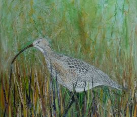 Curlew in the grass 65 x 48 Curlew in the grass 65 x 48