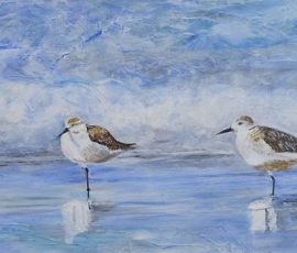 Sanderlings on a low tide 100 x 35 Sanderlings on a low tide 100 x 35