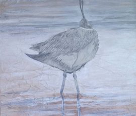 Streching & Preening 100 x 50 Streching & Preening 100 x 50