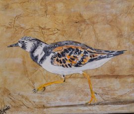 Turnstone 30 x25 Turnstone 30 x25
