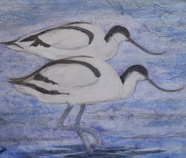 Avocets 38 x 28 Avocets 38 x 28