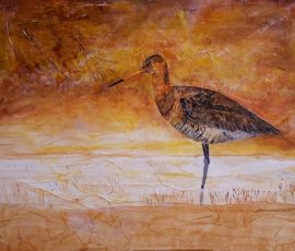 Black Tailed Godwit 56 x 46 Black Tailed Godwit 56 x 46