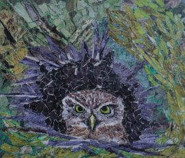 Little Owl 36 x 30 Little Owl 36 x 30