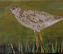 Redshank 36 x 25 Redshank 36 x 25