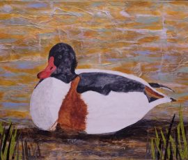Shelduck 36 x 25 Shelduck 36 x 25