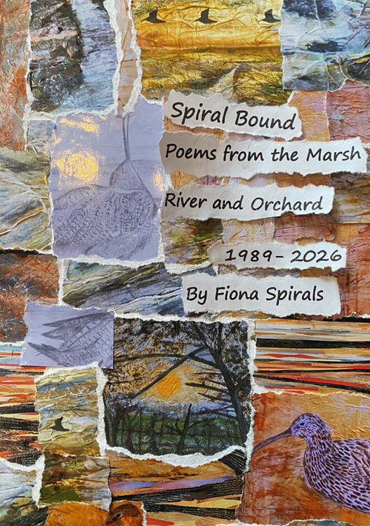 Spiral_Bound_Cover